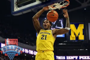 Morez Johnson Jr, Michigan