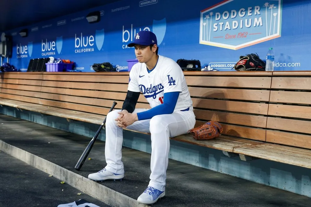shohei ohtani, dodgers