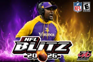 NFL Blitz Rate, Brian Flores, Minnesota Vikings, Anubis Sports